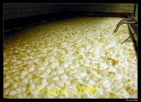 /album/fotogalerie-klaster/dscn8437-jpg/