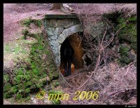 /album/fotogalerie3/dscn8826-jpg/