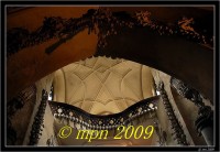 /album/fotogalerie-kostnice-kutna-hora/dsc-0110-jpg/