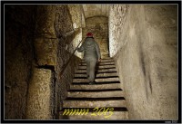 /album/fotogalerie5/img-3861-jpg/